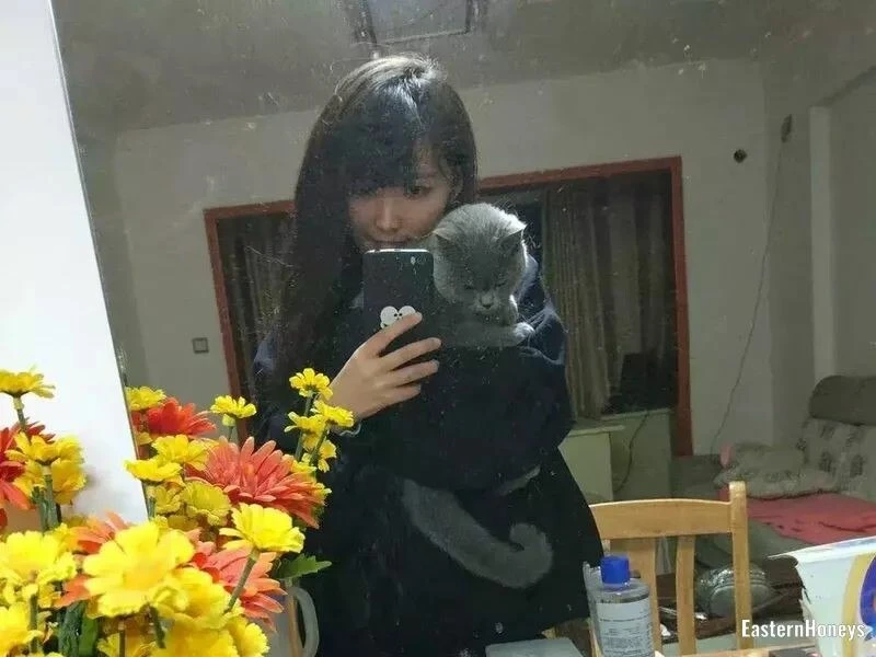 Qingxiu Profile image 1